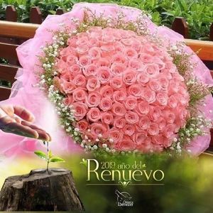 Meet your Posher, Dilma